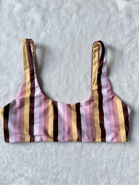 Striped Multicolor Bikini Top